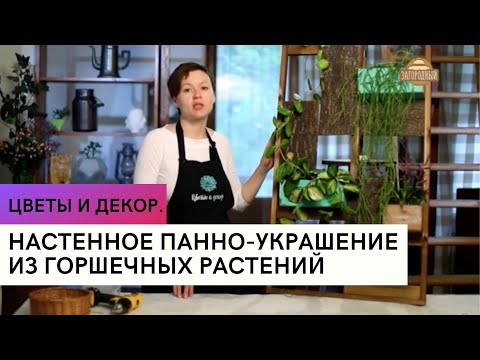 Настенное панно-украшение из горшечных растений \ Цветы и декор