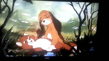 Fox and the hound