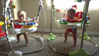 Rainforest Jumperoo Identical Twins