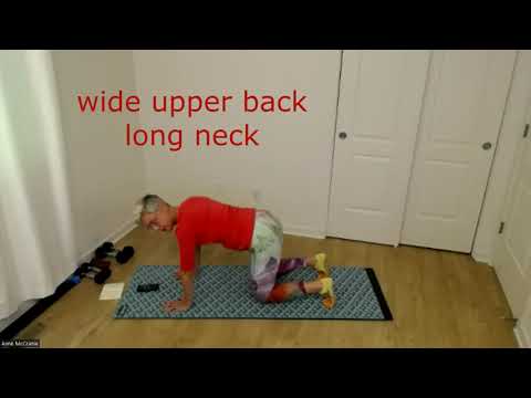 Sneaky core strength exercise - can you hold this Hover with me for one minute?