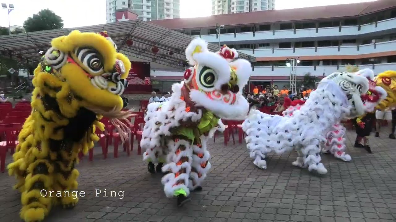 传统舞獅观摩會