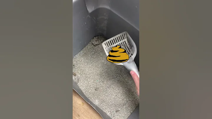 Tip Talk ~ Keep litter boxes smelling fresh! - DayDayNews