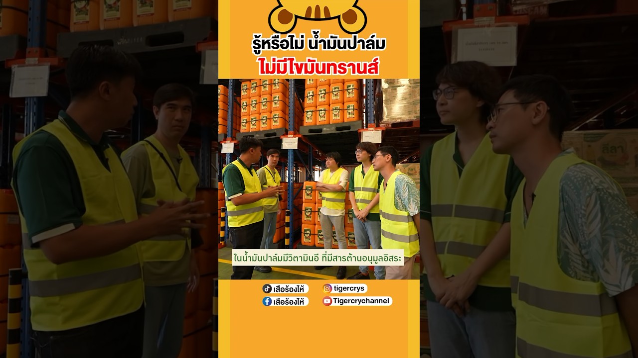 น้ำมันปาล์มไม่ได้มีไขมันทรานส์อย่างที่เข้าใจ #เสือร้องไห้ #TigerShorts #shorts #น้ำมันปาล์ม