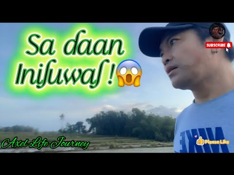 Day 2 sa pag papatanim/ sa pilapil iniluwal ni bibi ang kanyang itlog😂😂@axellifejourney