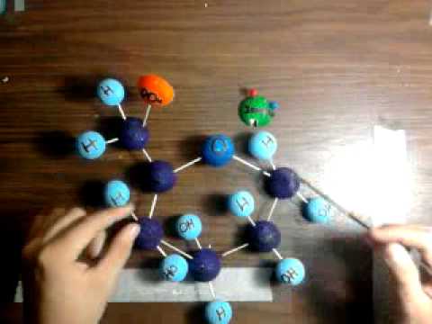 Explicacion de La Glucolisis 1.mp4 - YouTube Explicacion de La Glucolisis 1.mp4 - YouTube