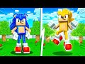 Upgrading SONIC to GOD SONIC in Minecraft