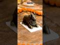 Pyrite Nandi Ji on Selenite Base | Strength • Faith • Prosperity #shorts
