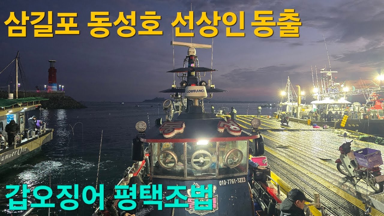 삼길포 동성호 갑오징어