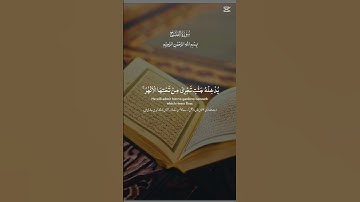 سورة الفتح #اكسبلور #المصحف #القران #الرحمن #الظروف #حالات_واتس #العظماء #لايك