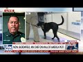 Minnesota police chief: This is horrific