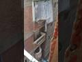 اسكندرية غرقانه مياه 