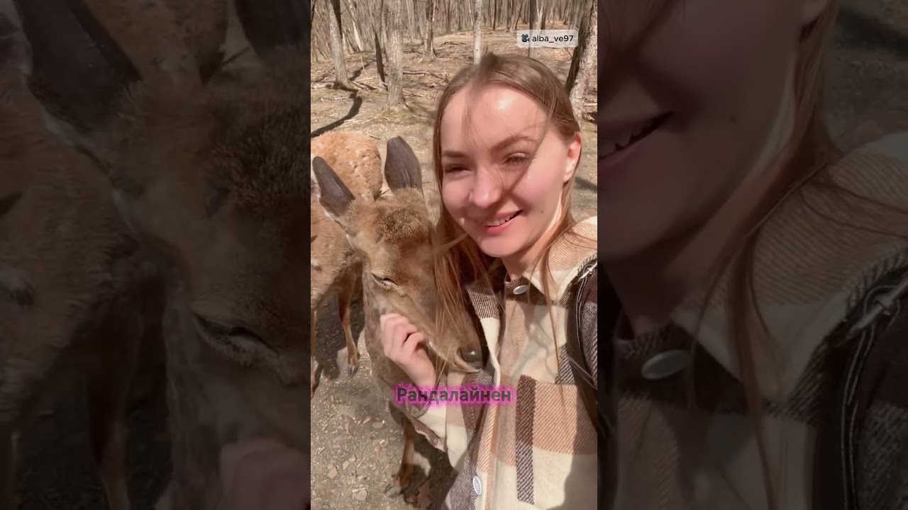 Олениха сообщила ей хорошие новости 😮