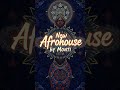 Afro House x Flamenco — Fire Meets Drum