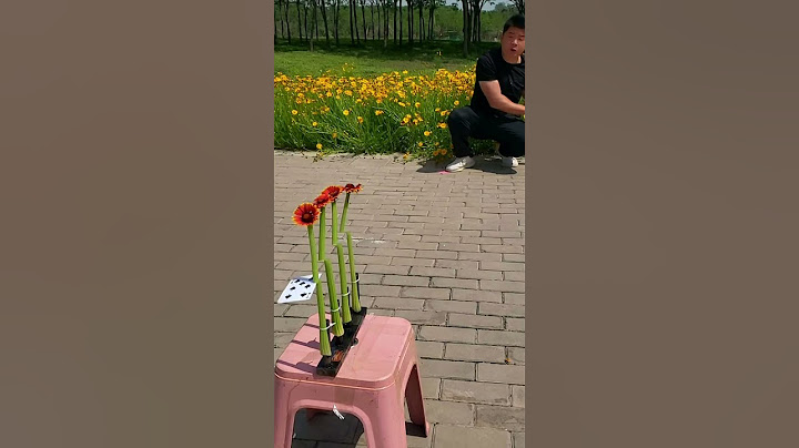 Flying card unique skills incredible# trend life growth star# hello creator# bask in my#hellocarbot