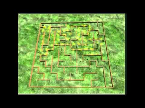 Modified Ant Colony Optimization