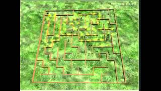 Modified Ant Colony Optimization