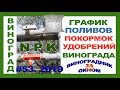 🍇 ГРАФИК и НОРМЫ поливов и подкормок винограда. Первый полив. Удобрения для винограда.