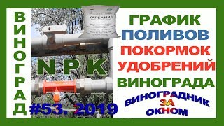 🍇 ГРАФИК и НОРМЫ поливов и подкормок винограда. Первый полив. Удобрения для винограда.