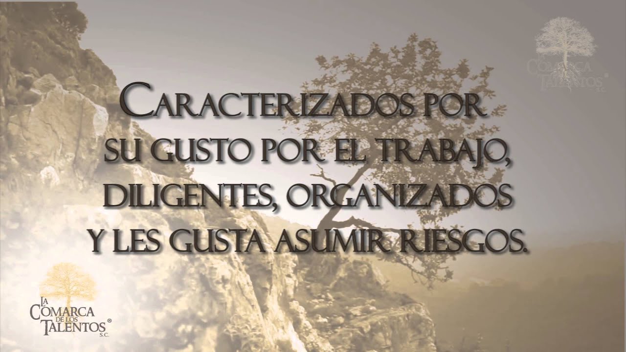 servicios al contribuyente Talento Dinamismo