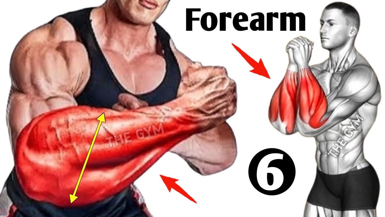 6 Effective Exercises For Bigger Forearms - YouTube