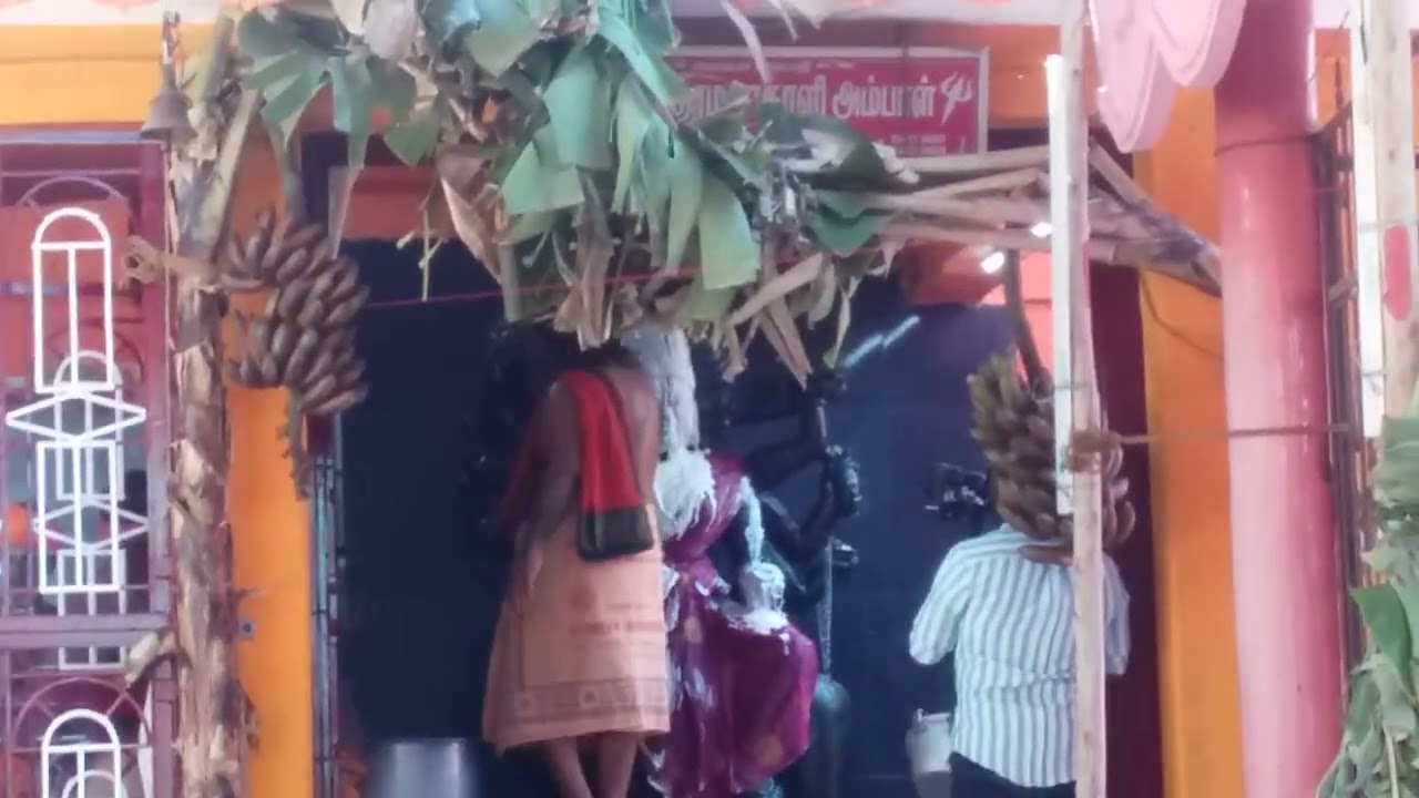 veera pathra kaliamman M.kdln