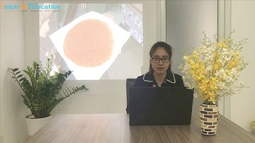 Có dễ dàng để mở tài khoản ngân hàng ở Hà Lan hay không? #duhochalan #duhocchauau #inspirdo