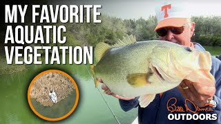 My Favorite Aquatic Vegetation | Bill Dance Outdoors