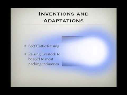 great plains accounting tutorial Bank statement reconciliation in ms dynamics gp: checkbook vs.