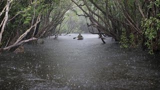 Rain and Thunder Sounds River Sounds Relaxing Sleep Meditation ASMR Rain Drops in water