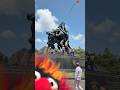 Your in my shot #animal #funny #comedy #animalfunny #trending #usmarine #marinecorps #arlington