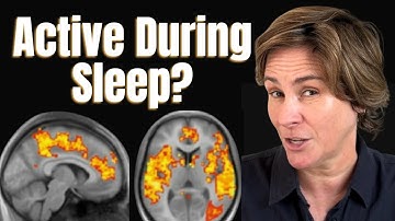 The Secret Life of Your Sleeping Brain