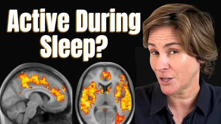 The Secret Life of Your Sleeping Brain