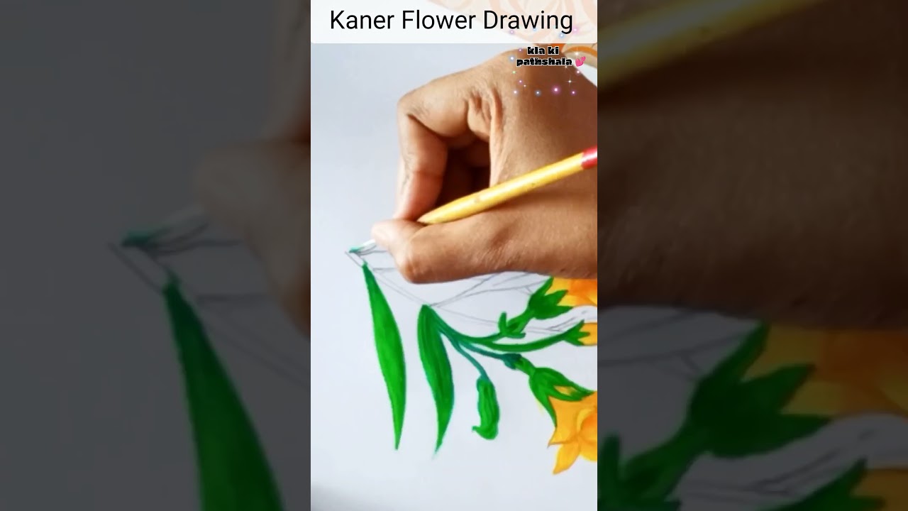 Yellow Oleander Drawing / कनेर का फूल पत्तियों सहित 