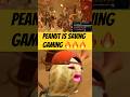 Peanut Has Saved Gaming 🔥🔥