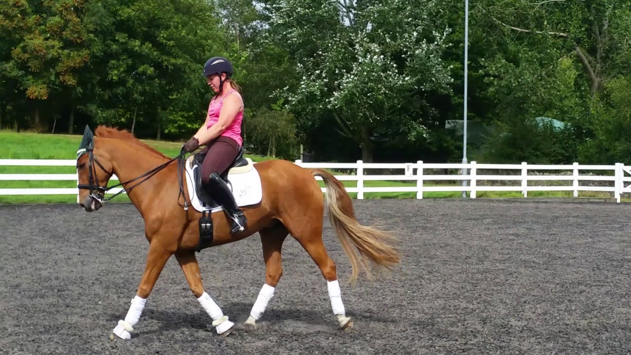 Mark Ruddock lesson3 BD camp