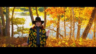 Like A Bee - The Flying Seeds