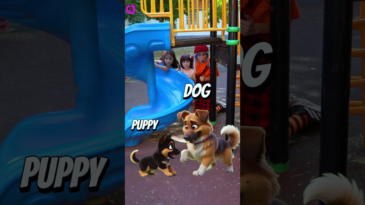 Animals and their babies | Nursery Rhymes & Kids Songs | BachaBola #animalshorts #babyshorts