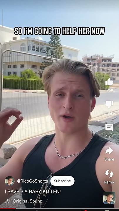 when the youtuber saves kitrn