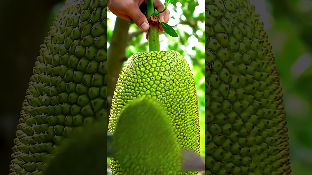 Sharp & Smooth Crystal Cutting ASMR 🔪✨ | Tingles Guaranteed