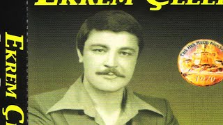 Ekrem Çelebi- Eylen Turnam Resimi