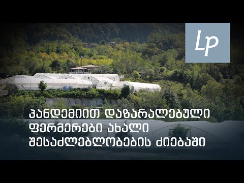 პანდემიით დაზარალებული ფერმერები ახალი შესაძლებლობების ძიებაში