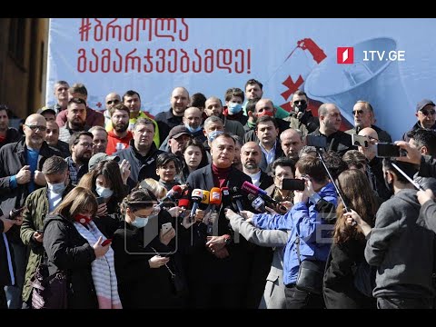 ოპოზიციური პარტიების გეგმა