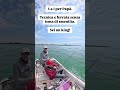 👉 “Fishing with Dad” 🐟 Venice Lagoon #seabass #seabassfishing #branzino #blackminnow