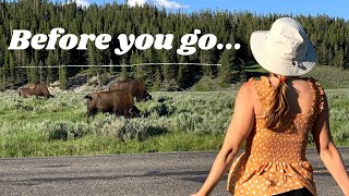 WHAT NO ONE TELLS YOU ABOUT YELLOWSTONE NATIONAL PARK