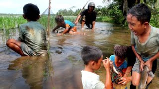 Luar biasa ||adit mamet bungah Tangkap ikan raksasa di Jalan yang kena Banjir