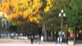 2011101801.MOV