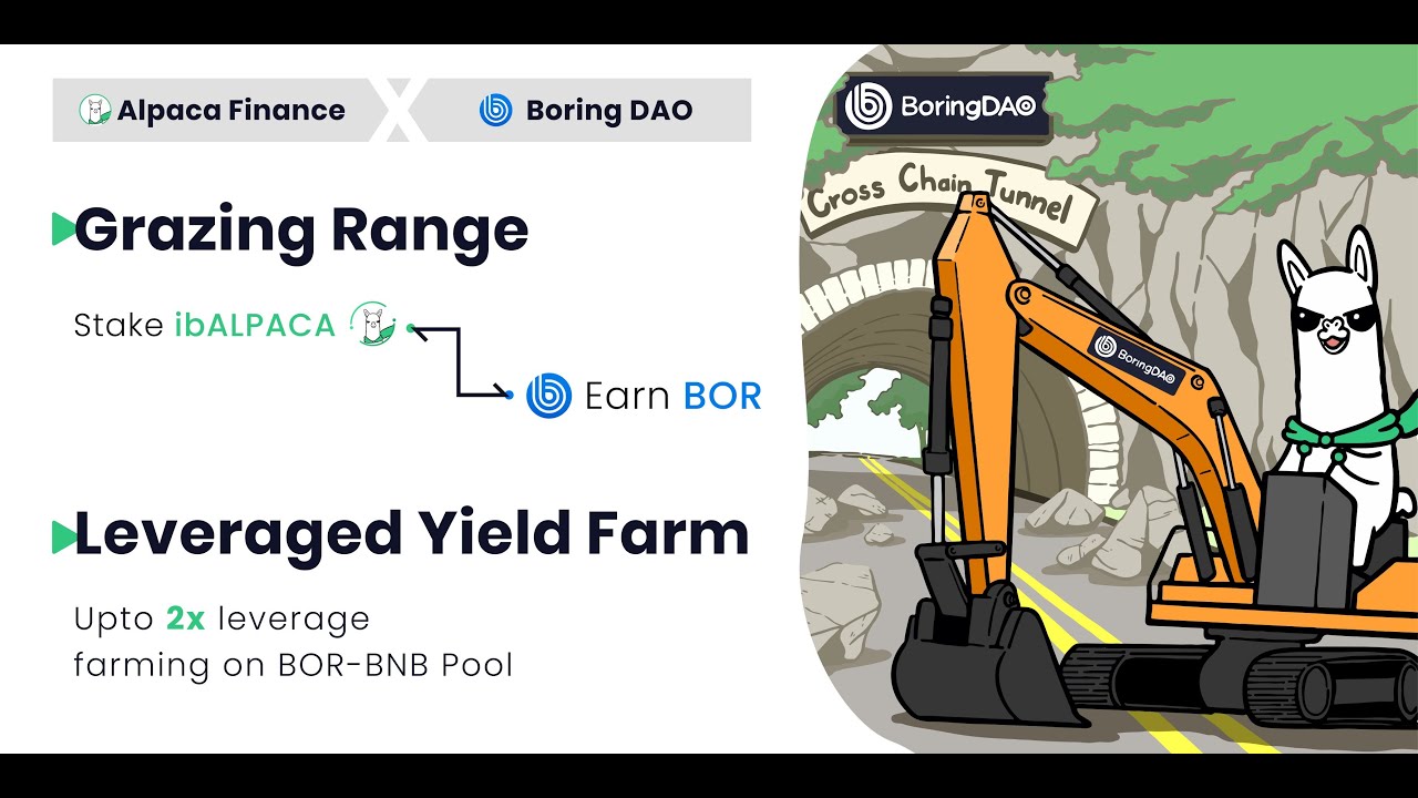 BoringDAO x Alpaca - Leveraged Yield Farming Tutorial