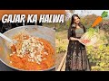 Gajar ka halwa  winter special  farmhouse