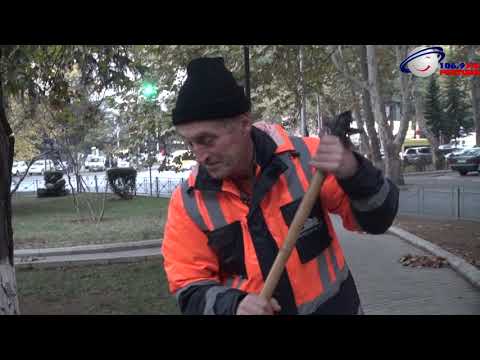 მეეზოვეების ერთი სამუშაო დღე