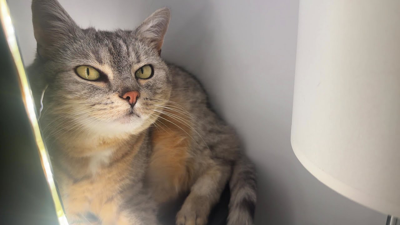 "I think I finally did it!"